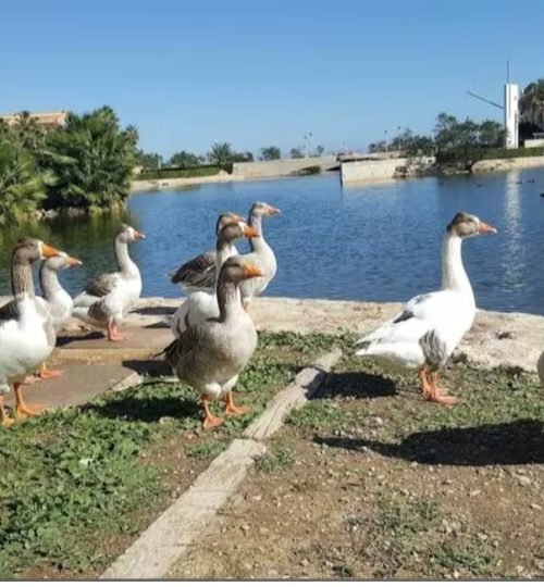 lago azul . 10 minutos andando. divertido sitio.