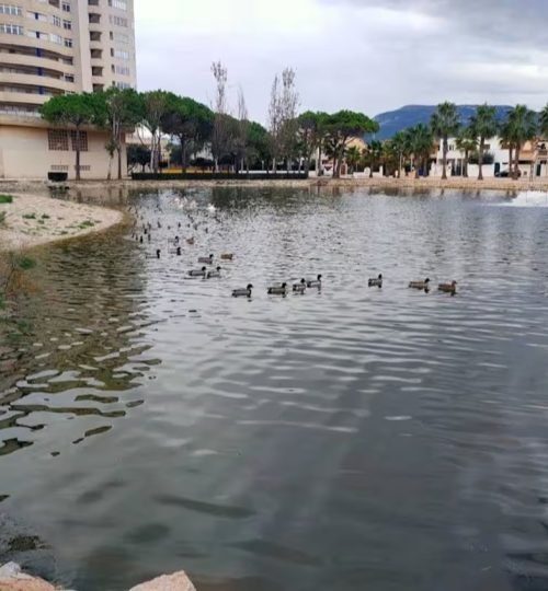 adicional laguna de patos