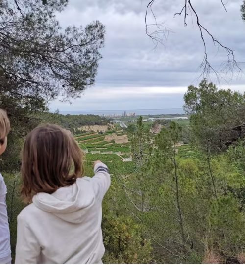 adicional vista de los crios